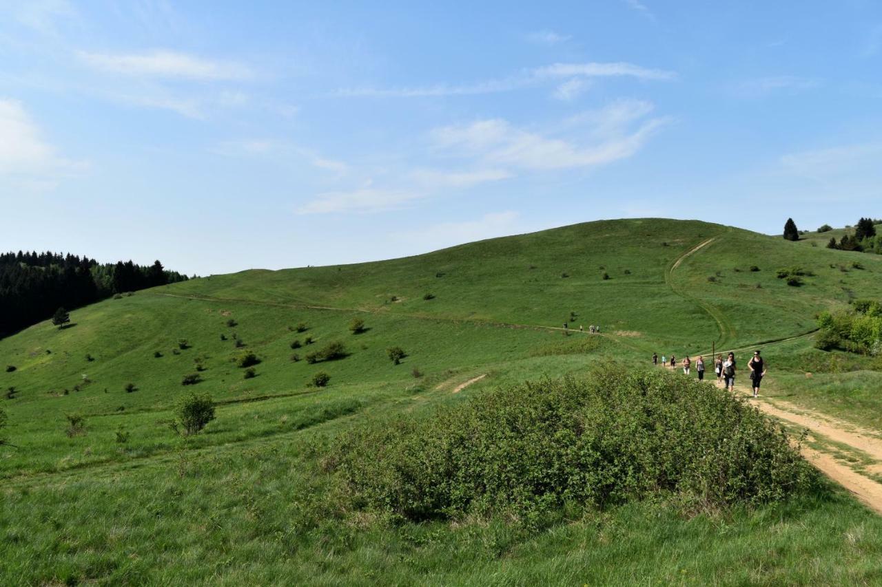 Apartmany V Muellerovom Dome Banská Štiavnica Buitenkant foto